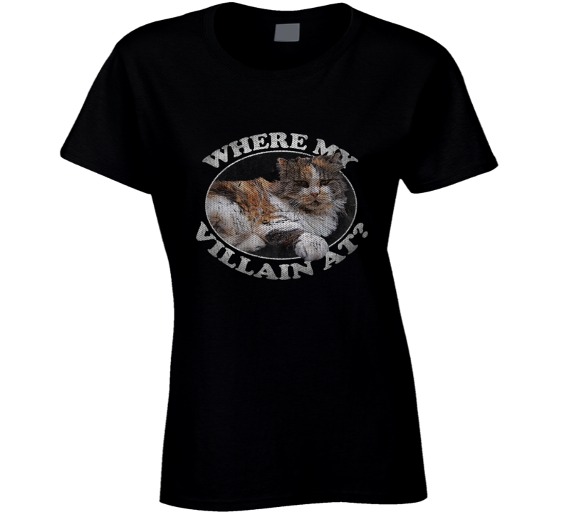 Where My Villain At Cat Lover Parody Funny T Shirt