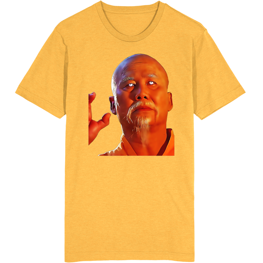 Kung Fu Master Po Tv Classic T Shirt