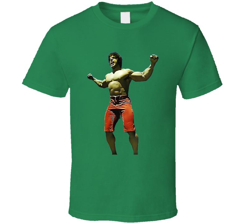 Lou Ferrigno The Incredible Hulk T Shirt