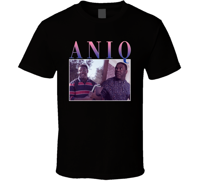 Aniq The Afterparty 90s Style T Shirt