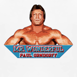 mr wonderful paul orndorff t shirt