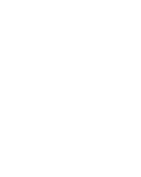 /products/overlays/35385.png img