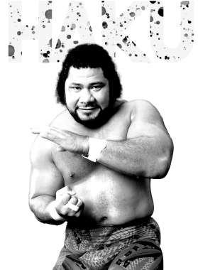 /products/overlays/40347495.png img