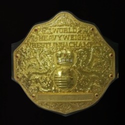World Wrestling Heavyweight Champion Belt T Shirt 38943810