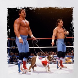 British Bulldogs Retro Wrestling Legends T Shirt 38963471