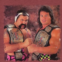 Steiner Brothers Wrestling T Shirt 39144998