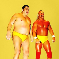 Andre The Giant Hulk Hogan Wrestling T Shirt 39157879