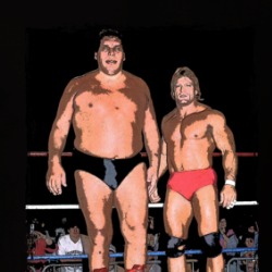 Andre The Giant Mr Wonderful Wrestling T Shirt 39189773