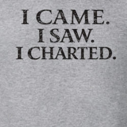 I Came I Saw I Charted Nurse Funny Occupation T Shirt 40370319