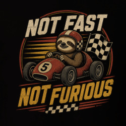 Not Fast Not Furious Funny Sloth T Shirt 40371012